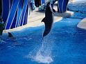 Sea World-185